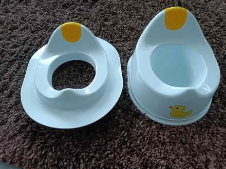 Photo of free Child potty and child toilet seat (Petersfield) #1