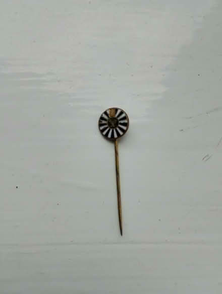 Photo of free Lapel pin badge (Patchway BS34) #1