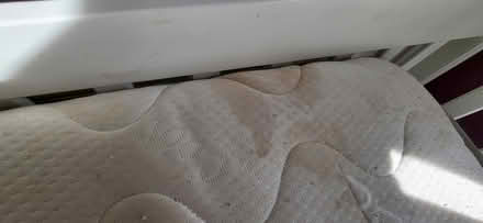 Photo of free Daybed 209 x 100cm (Warlingham CR6) #3