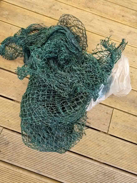 Photo of free Netting for gardening (Liss) #1