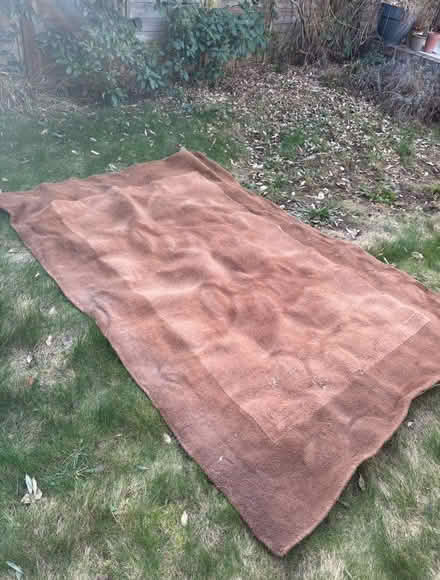 Photo of free Carpet rug approx 230cm x 160cm (The Camp AL1) #1