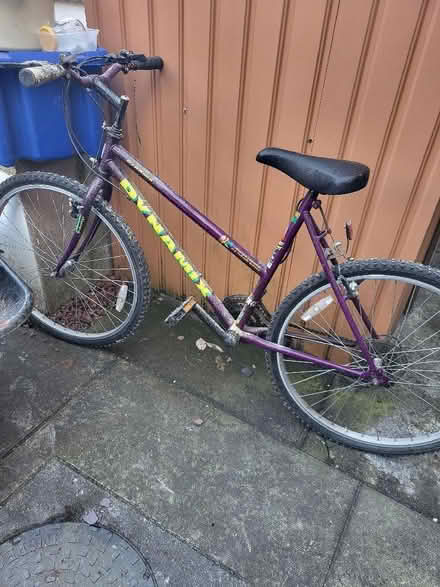 Photo of free Ladies bike (Liberton EH16) #1