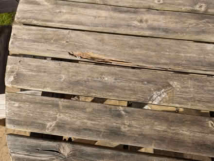 Photo of free Garden table, benches and chair (Steventon OX13) #4