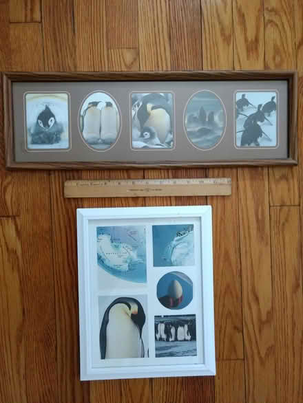 Photo of free Framed Penguin Photos (N. Lakeside in Henrico) #1