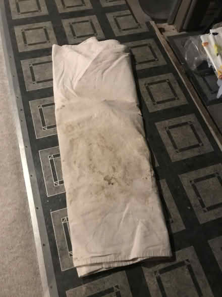 Photo of free Heavy duty drop cloth/floor cover (Speedvale & Delhi) #1