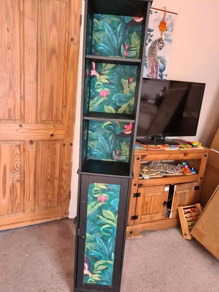 Photo of free Tall cabinet (S18 2ly) #1