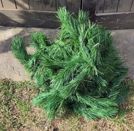 Photo of free 4ft(?) artificial Xmas Tree (Pontesford SY5) #2