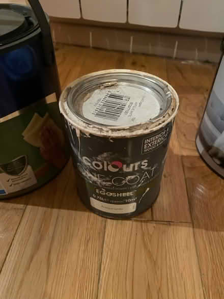 Photo of free Paint and paint bucket (East dulwich) #3