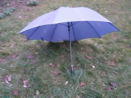 Photo of free Umbrella (Fairfield Park) #1