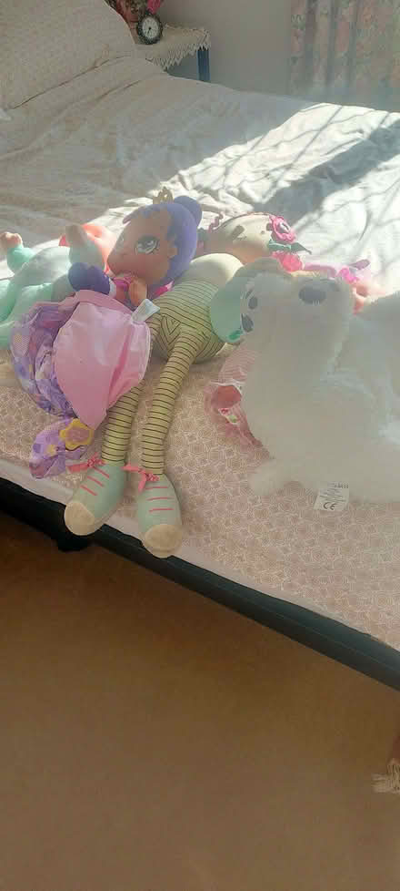 Photo of free Lots of dolls🖤 (Longden Common SY5) #1