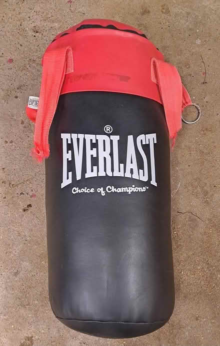 Photo of free Punch Bag (Woodford GL13) #1