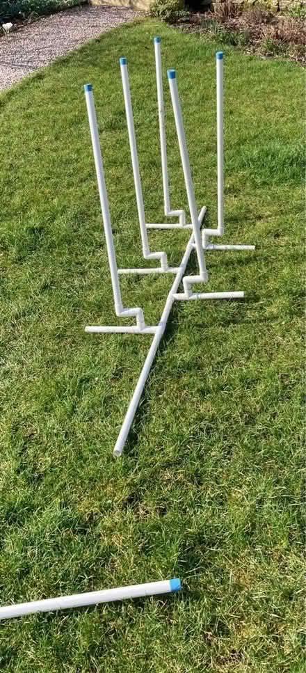 Photo of free Dog agility weaves and jumps (Helton CA10) #2