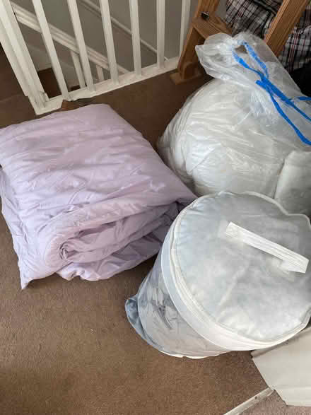 Photo of free Single duvets (Fulwood S10) #1