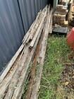 Photo of free Hardwood fence palings and rails in CURTIN #1