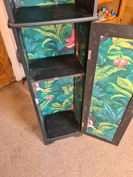 Photo of free Tall cabinet (S18 2ly) #2