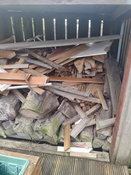 Photo of free Logs and various pieces wood (Cambuslang G72) #3