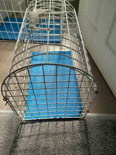 Photo of free 2 cat carriers (St Austell) #1