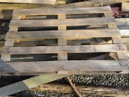 Photo of free Wooden pallet (Leominster HR6) #1