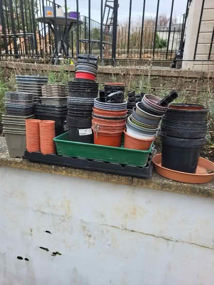 Photo of free Plastic plant pots (Liberton EH16) #1