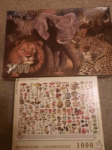 Photo of free 2 x jigsaws (North baddesley SO52) #1