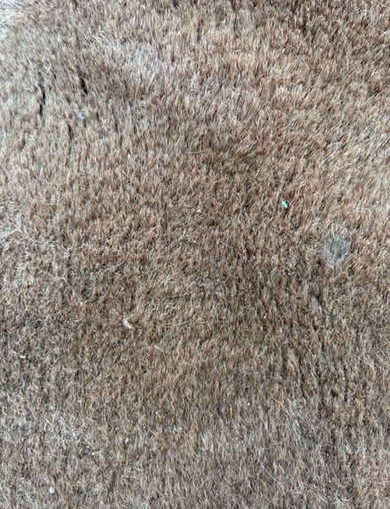 Photo of free Carpet rug approx 230cm x 160cm (The Camp AL1) #2