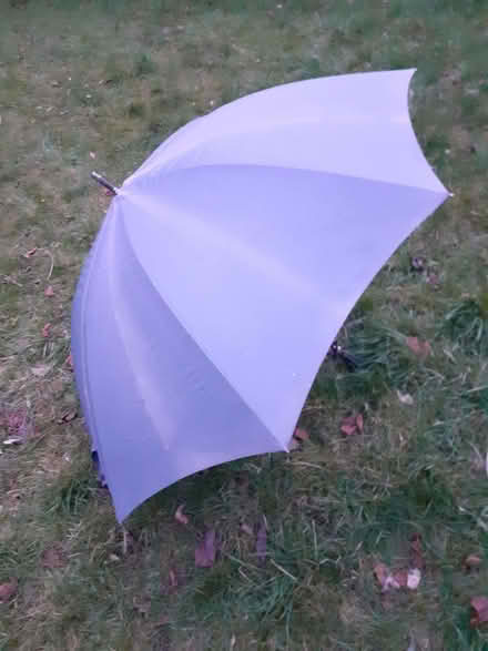 Photo of free Umbrella (Fairfield Park) #2