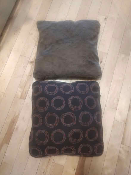 Photo of free Two throw pillows (East Harlem) #1