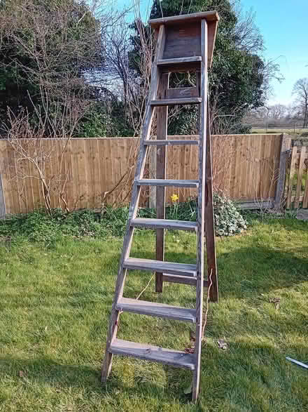 Photo of free 6ft tall wooden steps (High Cross) #1