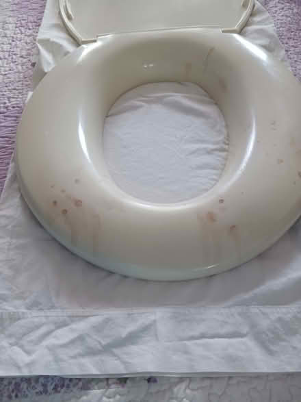 Photo of free Big john toilet seat (60th cedar ave 19143) #2