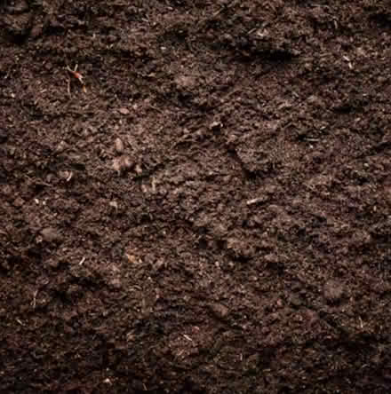 Photo of free Topsoil (Dursley, Cam) #1