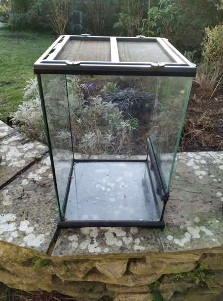 Photo of free Terrarium (30cm x 30cm x 47cm) (Shotover OX3) #1