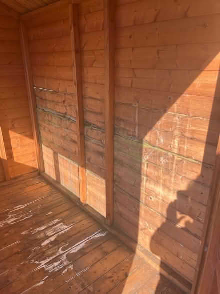 Photo of free Garden shed (Staines-upon-Thames TW18) #2