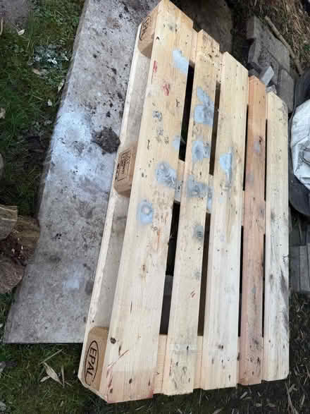 Photo of free Pallet (Welling DA16) #1