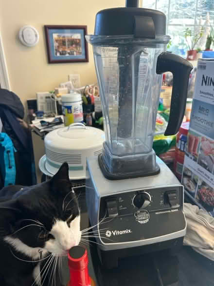 Photo of free Vitamix- may be dying (College park) #1