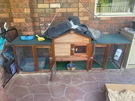 Photo of free Rabbit cage (Empire Bay) #1