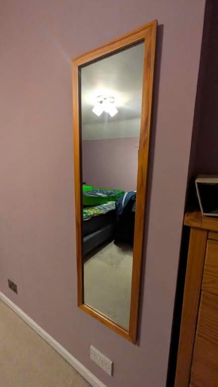 Photo of free Long mirror (SG7 Baldock) #1