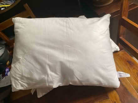 Photo of free Cushion inserts/fillers (Queens Park W10) #3