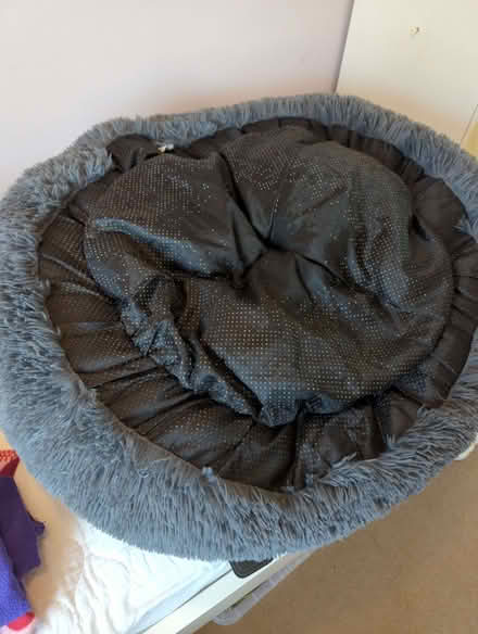 Photo of free Calming dog bed (Easthampstead RG12) #2