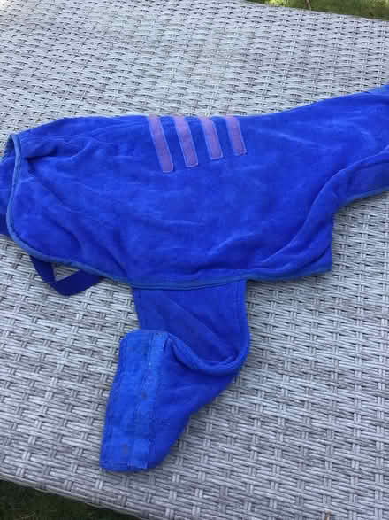 Photo of free Dog robe (Wellington) #1