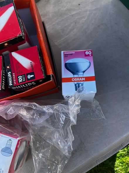 Photo of free Brand new bulbs (basingstoke) #1