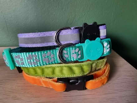 Photo of free Cat collars (new) (Lower Walkley S6) #1