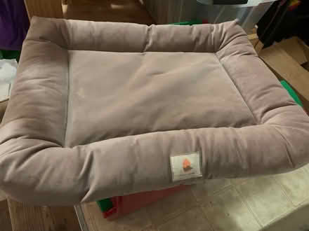 Photo of free small dog bed (Lafayette) #1