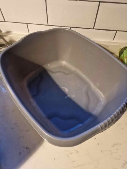 Photo of free Washing up bowl (Alexandra Park M16) #1