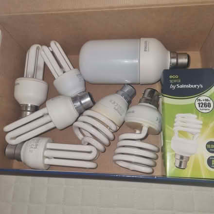 Photo of free Lightbulbs (Hertford SG13) #1