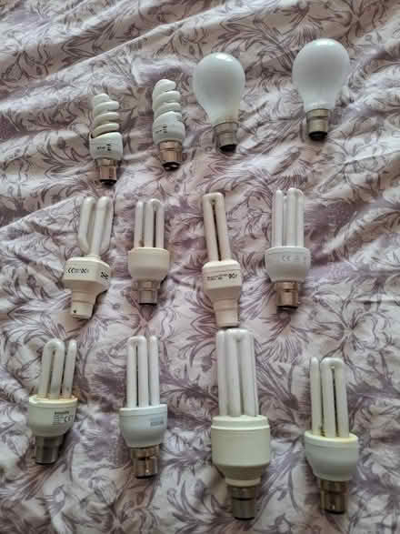 Photo of free 12 light bulbs. (Biggin Hill TN16) #1