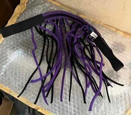 Photo of free Pony size Fly Fringe (Belle Isle, LS10) #1