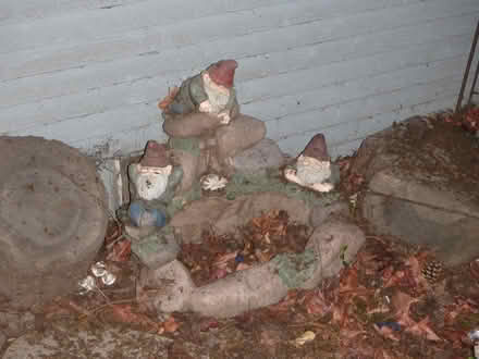 Photo of free Gnome and Frog Yard Art (Interbay/Queen Anne) #2