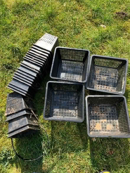 Photo of free Aquatic plant pots (Stirchley B30) #1