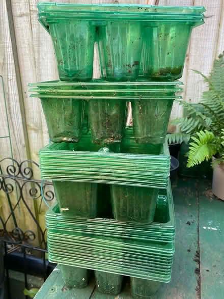 Photo of free Seed Trays / Small Growing Trays (Thurcaston LE7) #1