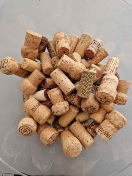 Photo of free Corks (Broxbourne EN10) #1